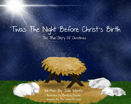 "Twas The Night Before Christ's Birth" Children's Christmas Storybook (Soft Cover-AUTHOR SIGNED)